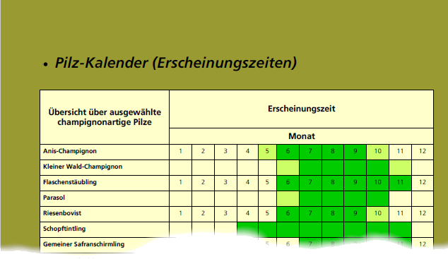Beispielseite mit Erscheinungszeiten