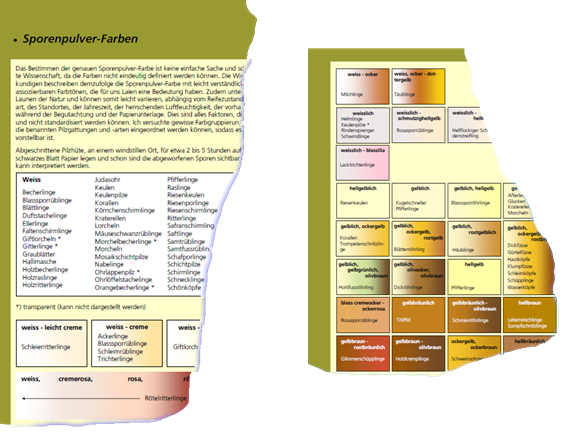 Beispielseite mit Sporenpulver-Farben