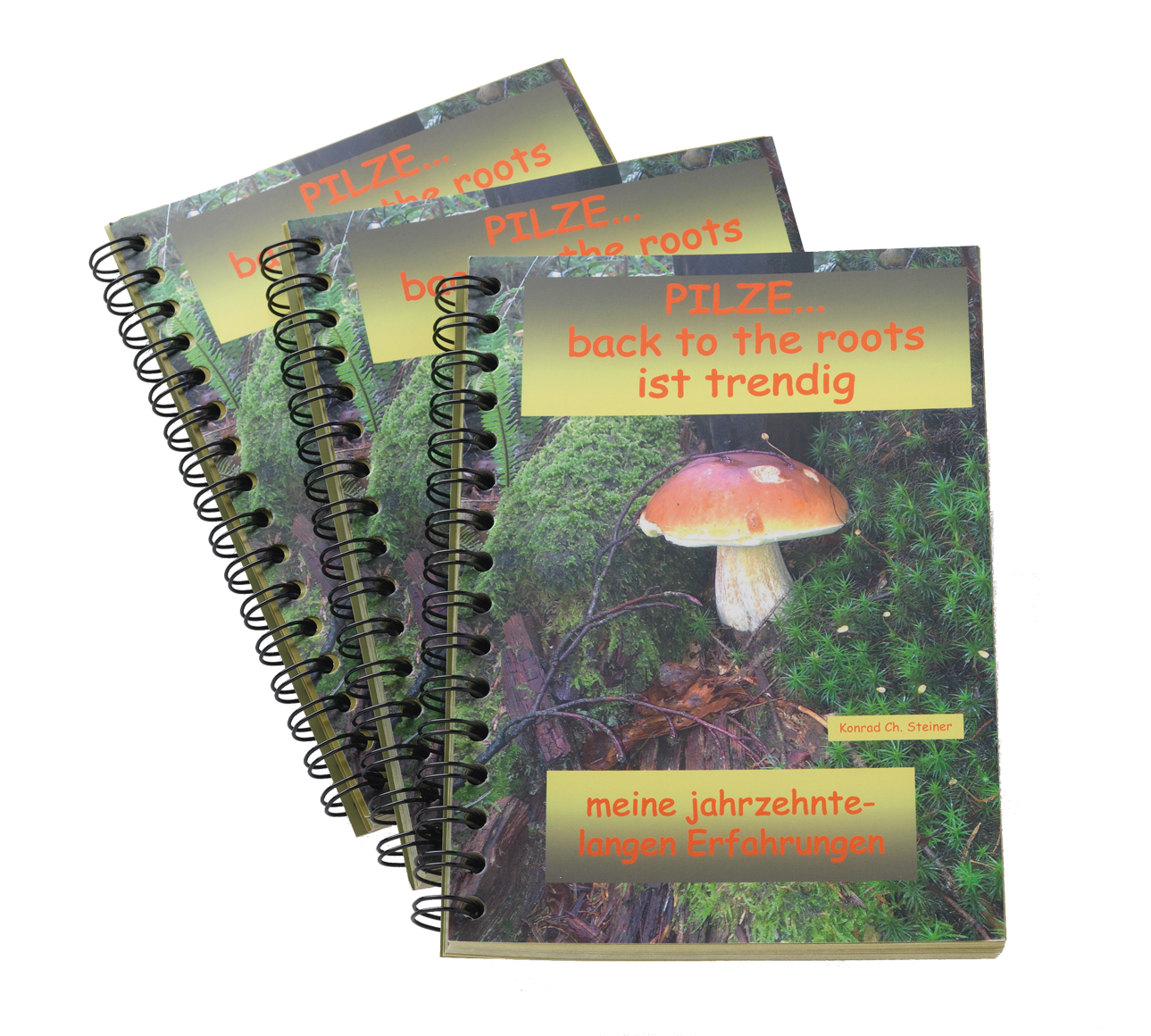 Pilze im Wald