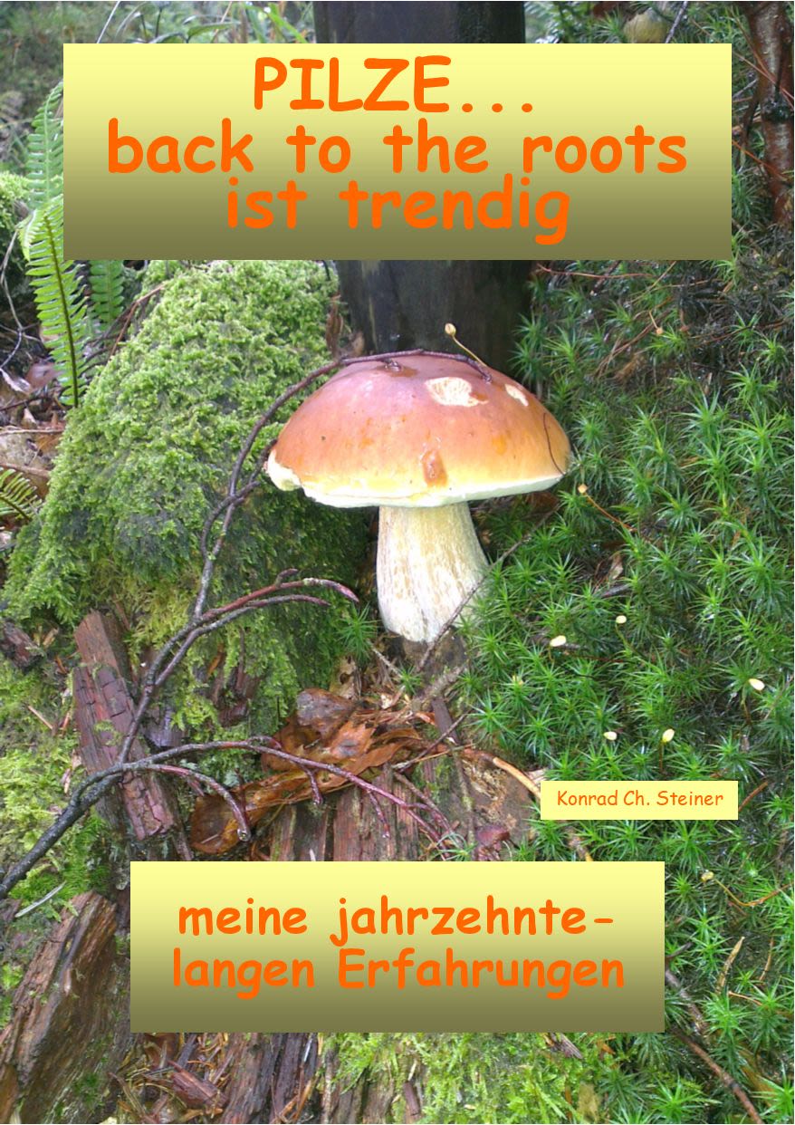 Aufgeschlagenes Pilzbuch