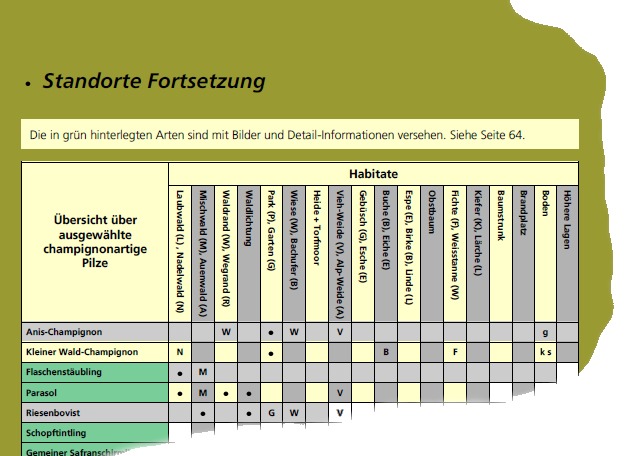 Beispielseite Inhaltsverzeichnis