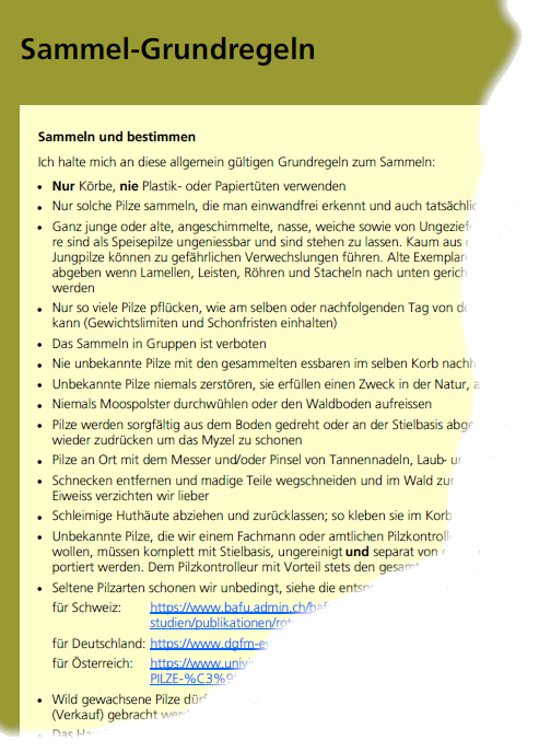Beispielseite 7 aus dem Pilzbuch