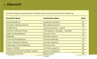 Beispielseite 9 aus dem Pilzbuch