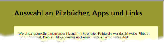 Beispielseite 13 aus dem Pilzbuch